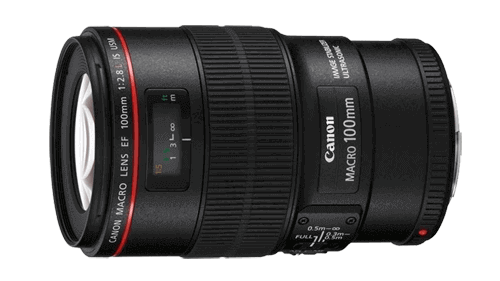 Canon EF-S 24mm Single Focus E Mount Lenses